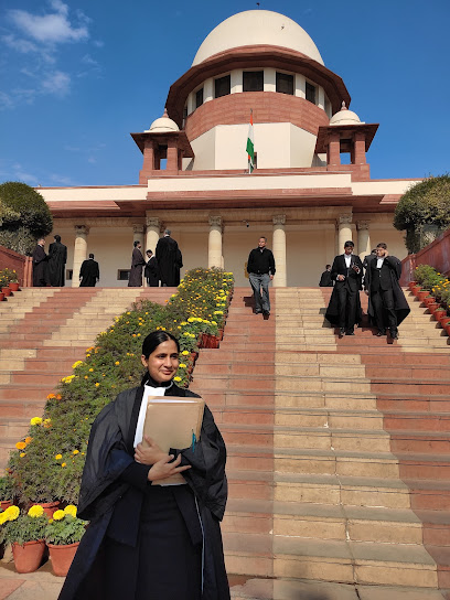 Bino Bot Experienced Divorce Lawyers Specializing in Child