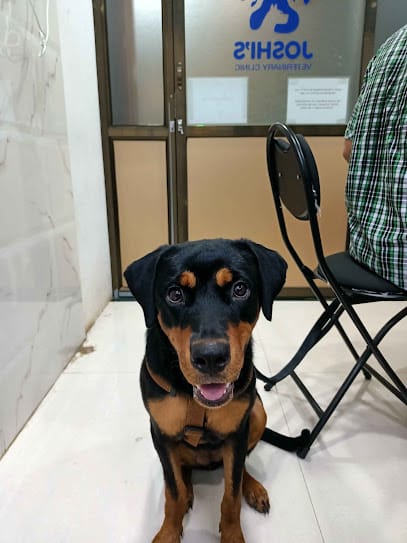 JOSHI'S VETERINARY CLINIC | Pet Medical & Surgical Clinic business photograph