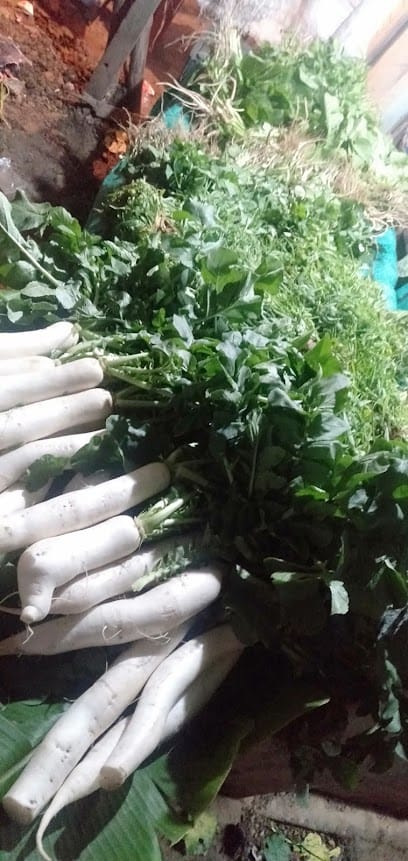 Shambhunath Vegetables And fruit business photograph