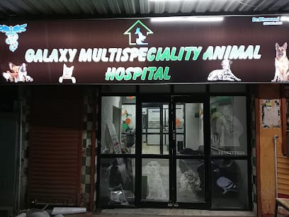 Galaxy multispeciality animal hospital | Pet Clinic business photograph