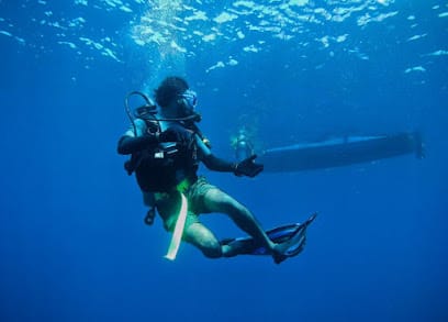 Blue Sea Dive & Water Sports business photograph