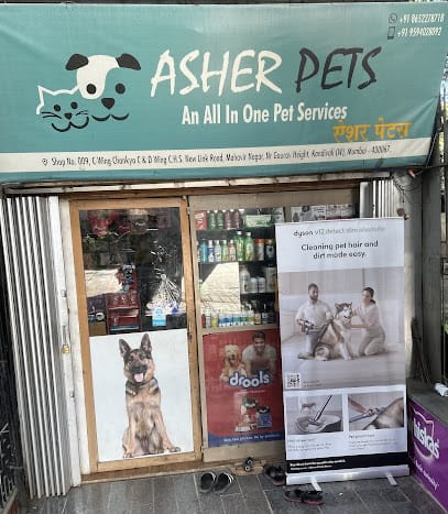 Asher Pet Shop and Pet Spa business photograph