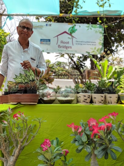 Root Bridges business photograph