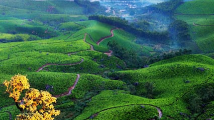 Munnar Viators Adventure Trekking ,Camping & Tours business photograph