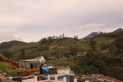 Ammukuttys cottages - Home Stay in Munnar business photograph