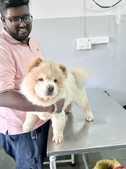 Petopia Animal Clinic (Dr. Neha Gupta)24/7 Services on appointment basis business photograph