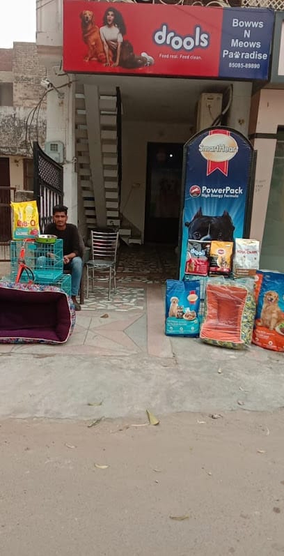 Bowws n meows pawradise business photograph