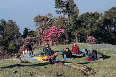 The Yogic Life business photograph