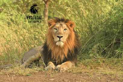 Prashant Gir Tour & Travel's business photograph