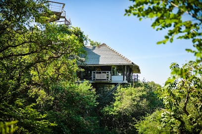 The Machan - A Treehouse Resort, Lonavala business photograph