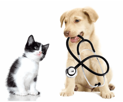 dog & cat clinic business photograph