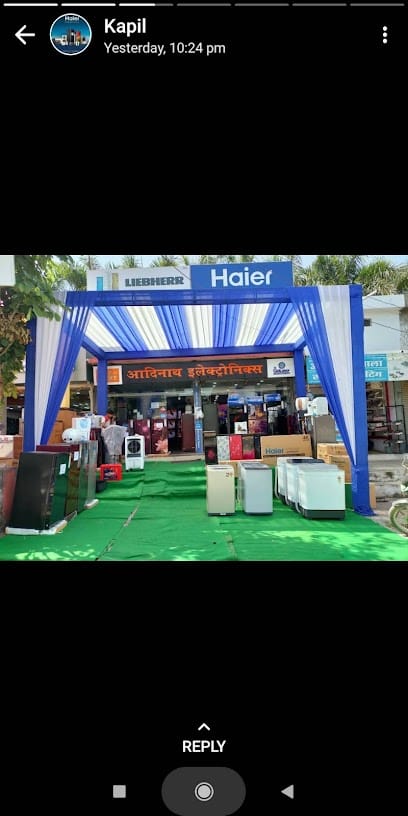 ADINATH ELECTRONICS business photograph