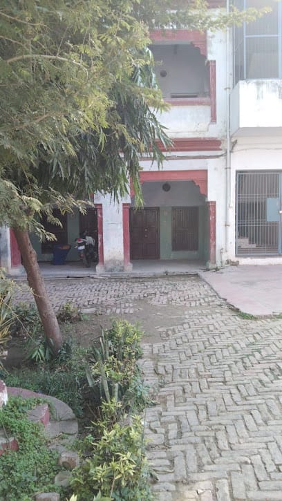 Court View Allahabad High Court Lawyers Chambers business photograph