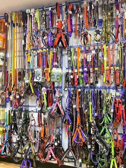 Dog Hospital business photograph