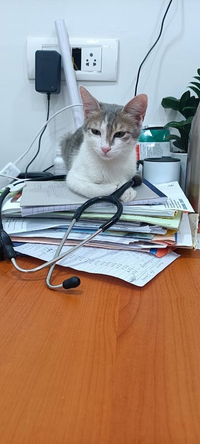 Dr Paw Veterinary Clinic (A Unit of Save Animals In India, A Rescue Foundation) business photograph