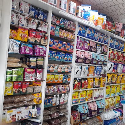 ROYAL NX business photograph