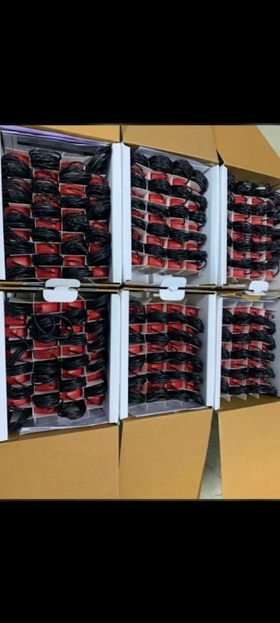 Professional computer services business photograph