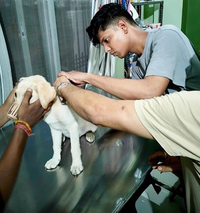 Buddy Pet Care & Clinic business photograph