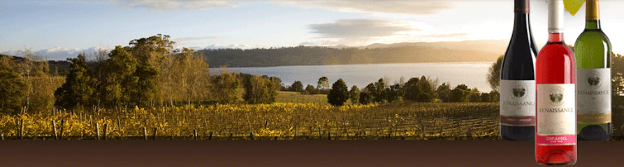 Renaissance Winery Private Ltd business photograph