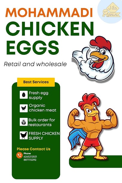 Mohammadi Chicken business photograph