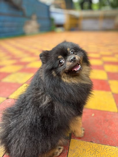 Nanighar Dog Hostel business photograph