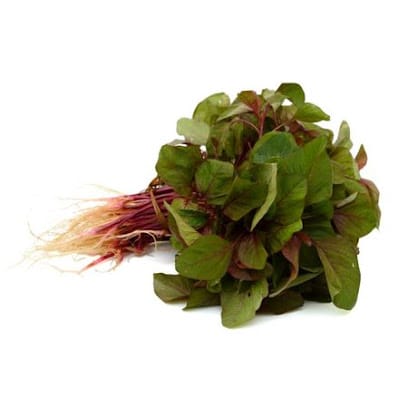 Erode Agro Corporation Kanchipuram business photograph