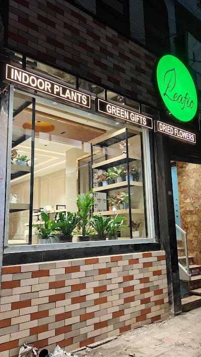 Leafio - Best Plant Gift Shop in Delhi | Indoor Plants | Green Plant Gifting | Corporate Plant Gift business photograph
