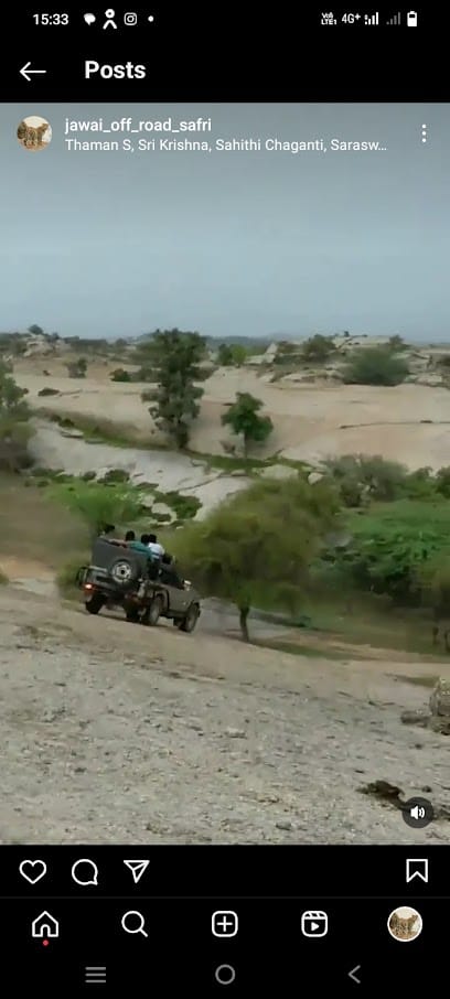 Jawai leopard safari point business photograph