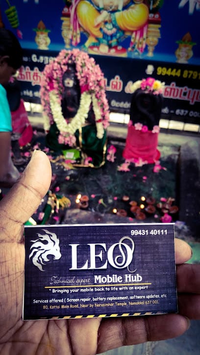 LEO MOBILE HUB business photograph