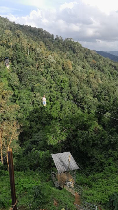 Bhanu tour orgenaiser business photograph