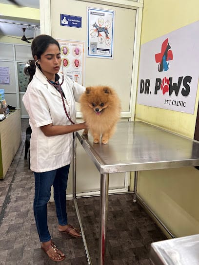 Dr Paws Pet clinic & Grooming business photograph