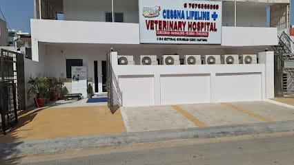 Cessna Lifeline Veterinary Hospital Gurugram business photograph