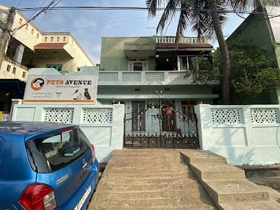 Pets avenue animal hospital business photograph