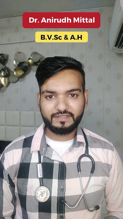 PupKitt Pet Care business photograph