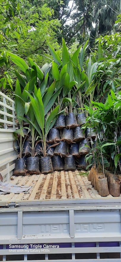 Vrundavana Nursery & Farm business photograph