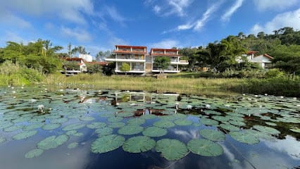 Dhole's Den Bandipur business photograph