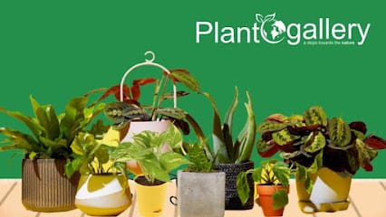 Plantogallery business photograph