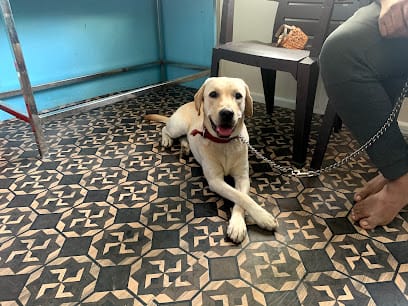 STAR PET CLINIC business photograph