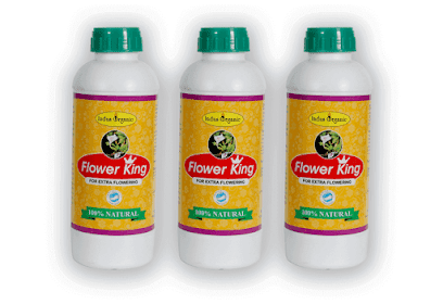 Indus Valley Fertilizers Private Limited business photograph