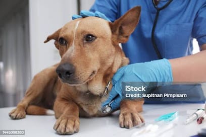 DRx. Sudhanshu Singh vet business photograph