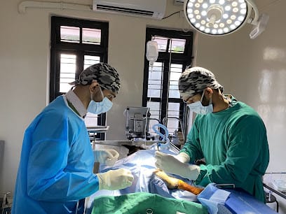 Little Paws Veterinary Clinic - Dr. Yashaswi Naravi business photograph