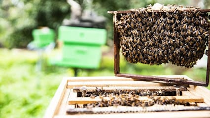 HoneyDay Bee Farms Pvt Ltd business photograph