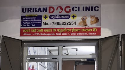 Urban Dog & PET Clinic business photograph