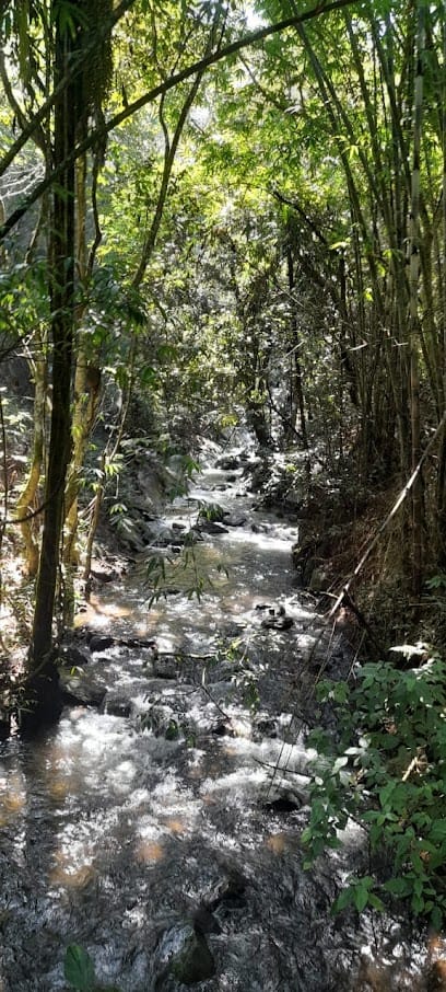 Coorg Taxi service & cabs Srinidhi tours and travels business photograph