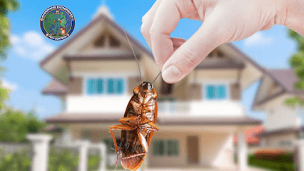 CHINMAYEE ENTERPRISES PEST CONTROL SERVICES business photograph