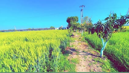 Rana agri farm business photograph