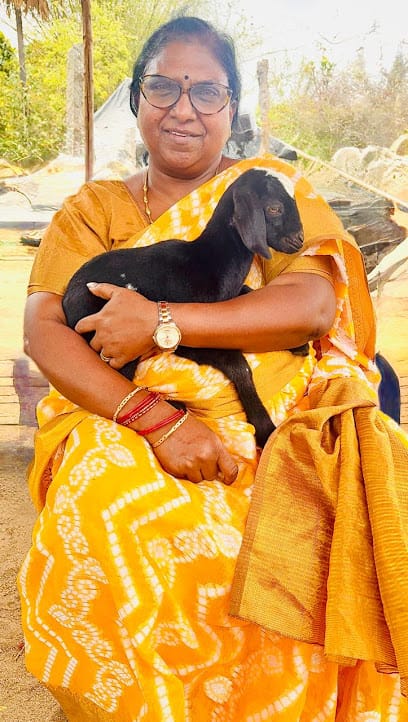 Moorthy's Pet Care & Boarding Center business photograph