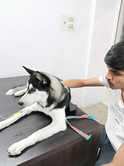Dr. Chaitanya Solanki | Home Visit Veterinary Doctor | Pet Vaccination business photograph