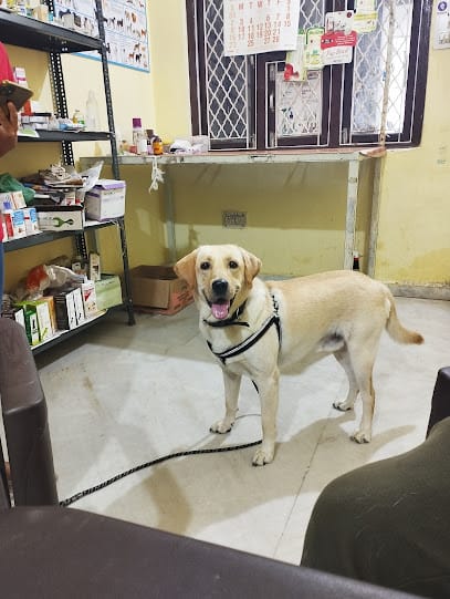 BAGHEL PET CLINIC business photograph