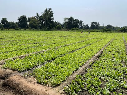 Jaivik Agro services business photograph